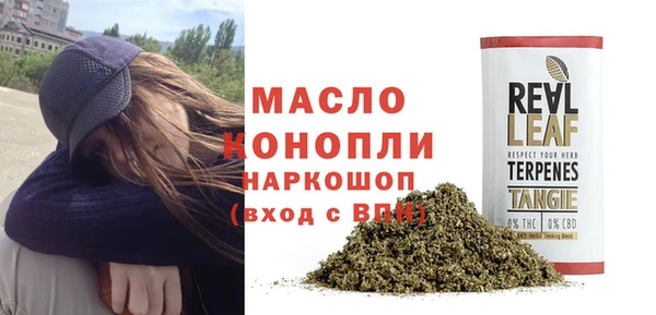 индика Беломорск