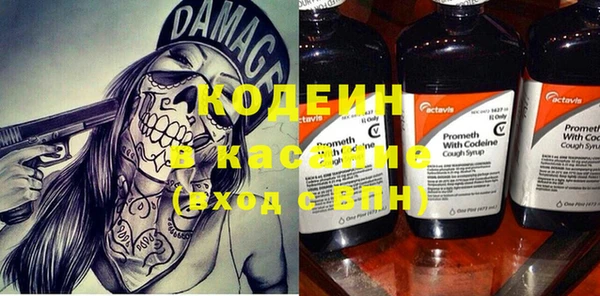 индика Беломорск