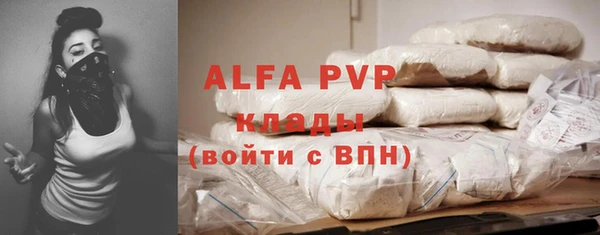 индика Беломорск