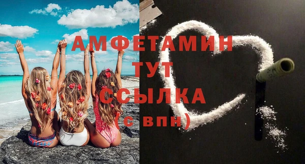 индика Беломорск