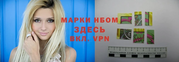 индика Беломорск
