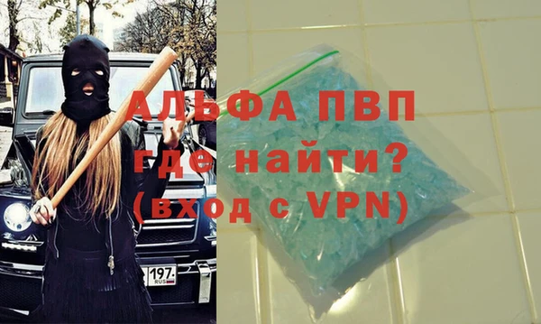 индика Беломорск