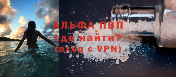 индика Беломорск