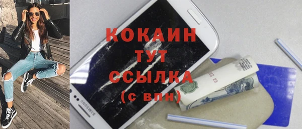 индика Беломорск