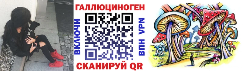Галлюциногенные грибы Psilocybine cubensis  купить наркотики сайты  Верхний Уфалей 